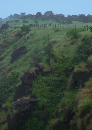 Fotograma de Murmurs of the Jungle